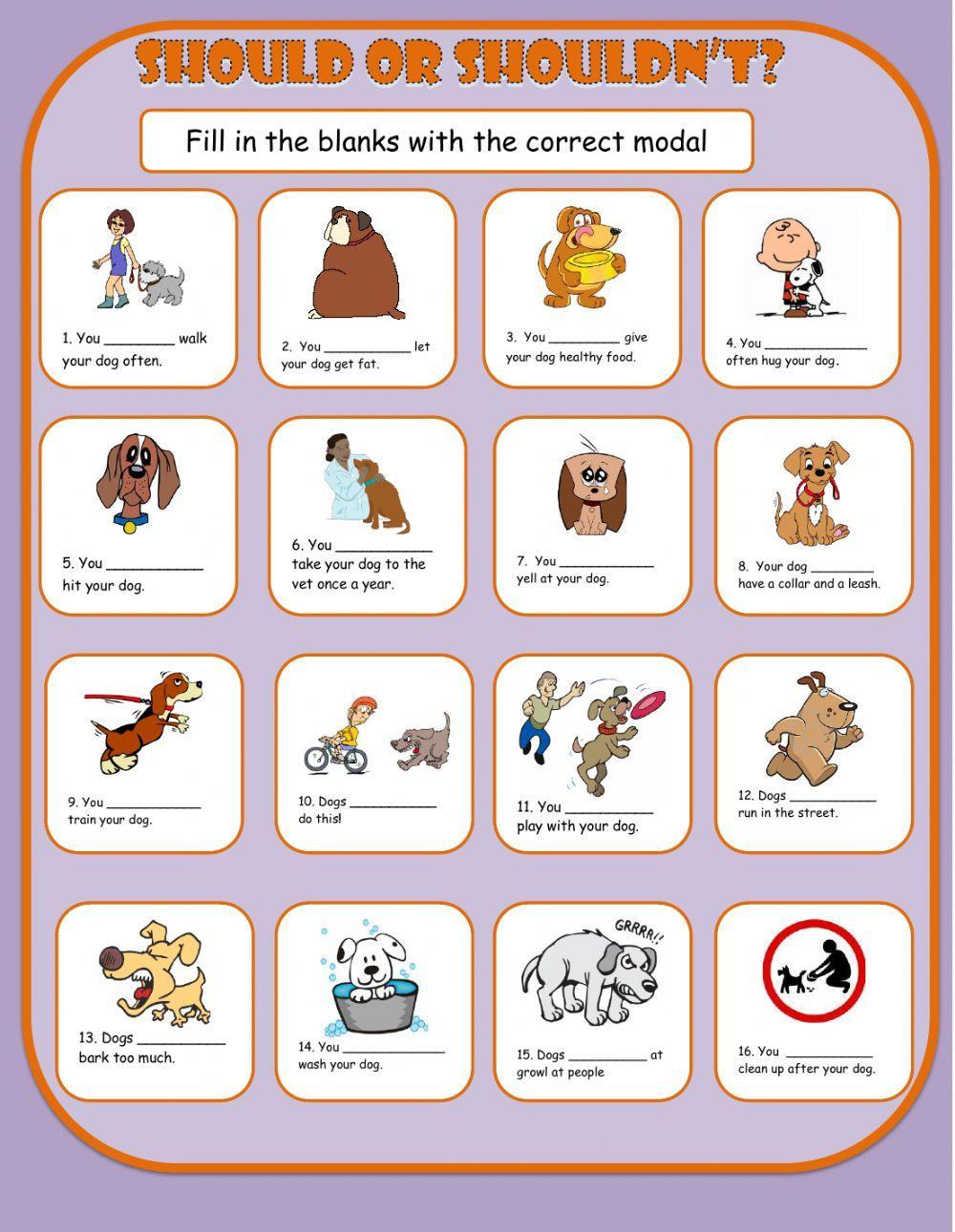 Should-Shouldn't Dog Care