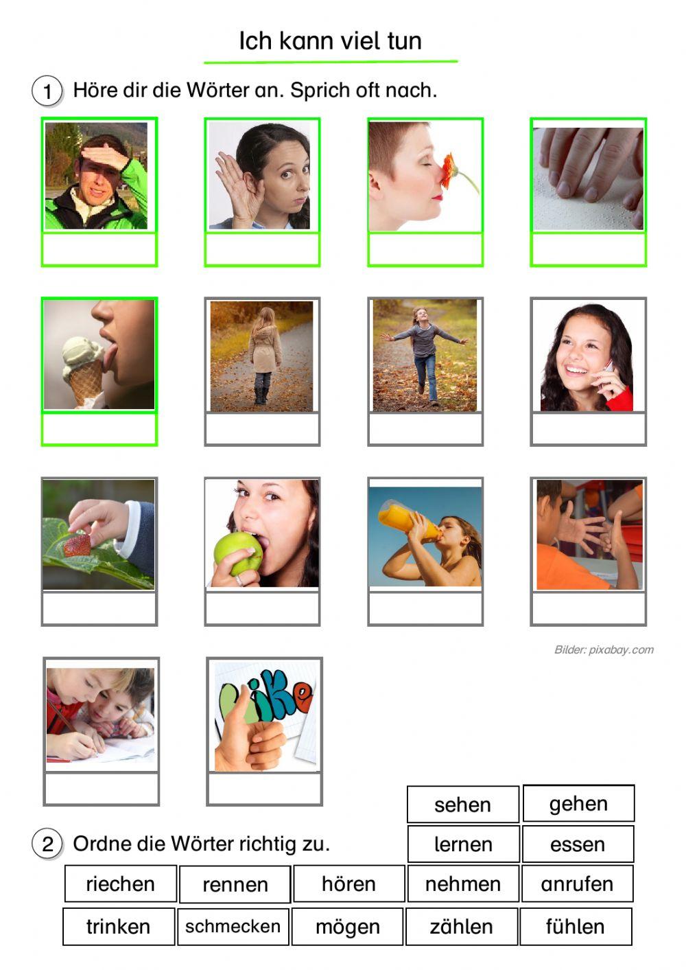 Verben (Akkusativ) - Einführung