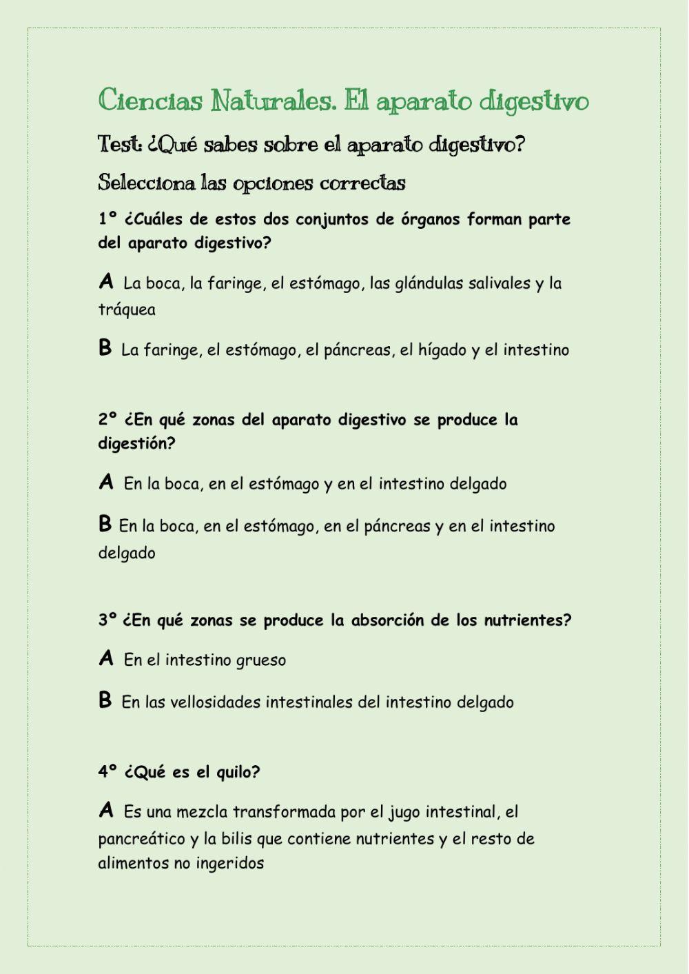 El aparato digestivo test