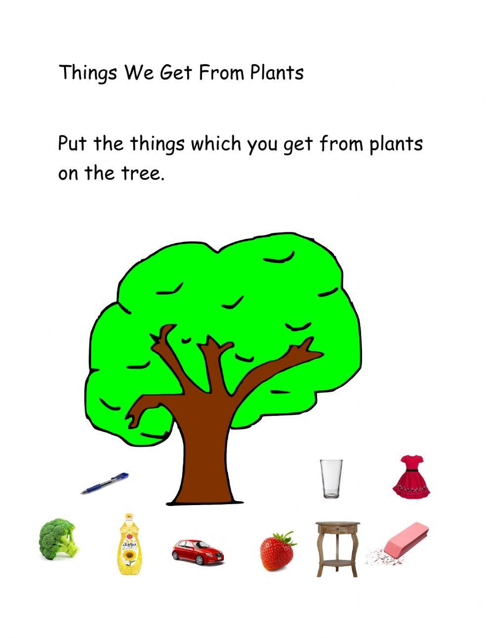 things-we-get-from-plants-online-exercise-for-live-worksheets