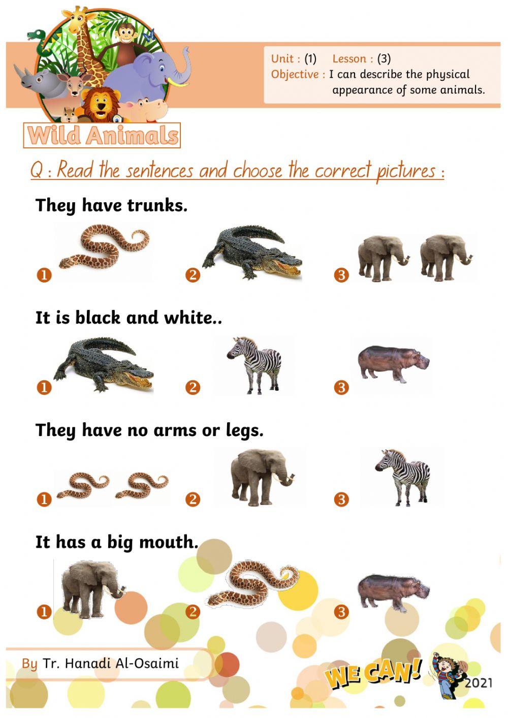 We Can 4 Unit 1 Lesson 3