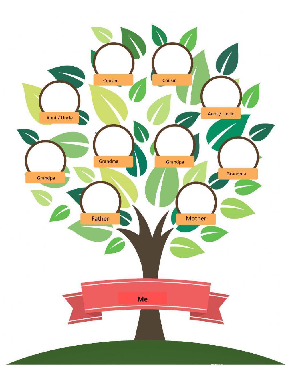 Create your won family Tree