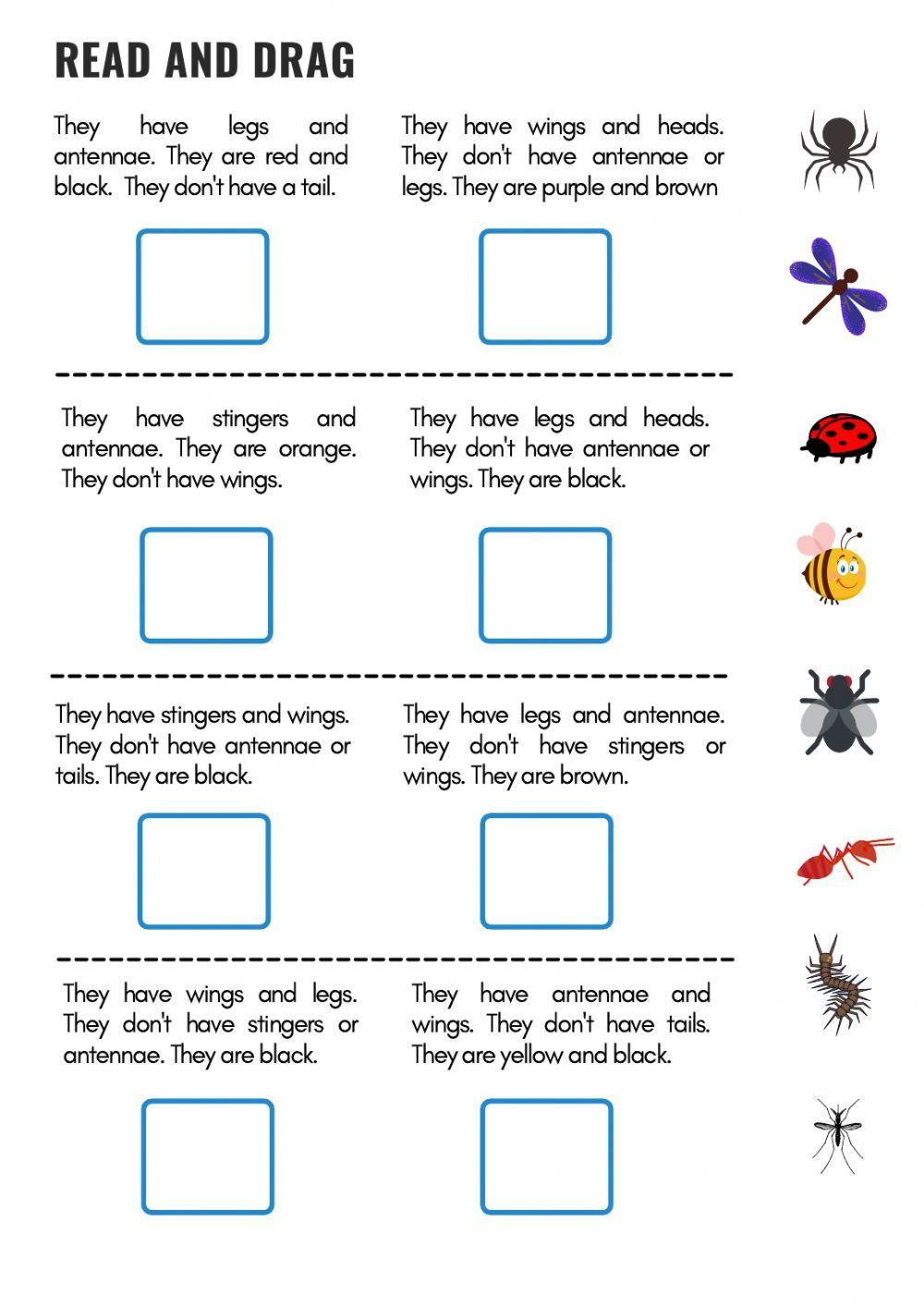 Minibeasts descriptions and parts
