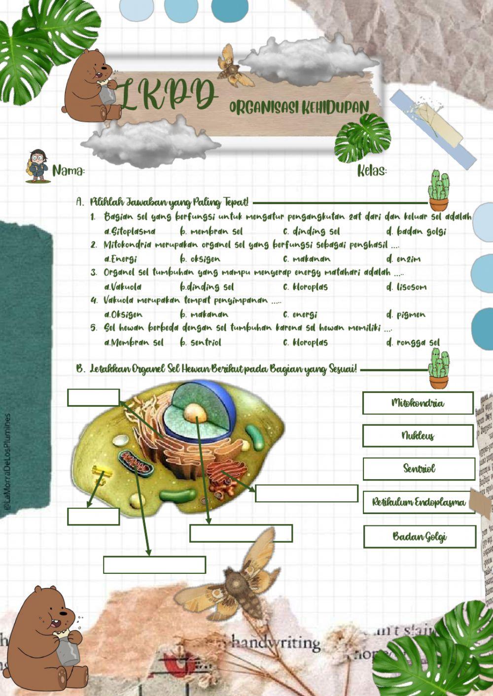 Organisasi Kehidupan