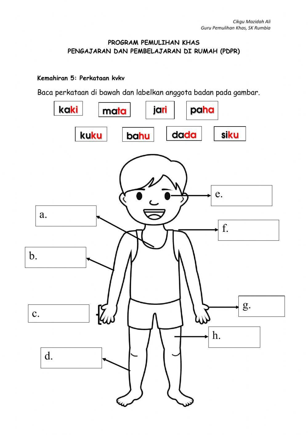 Kemahiran 5:Perkataan kvkv