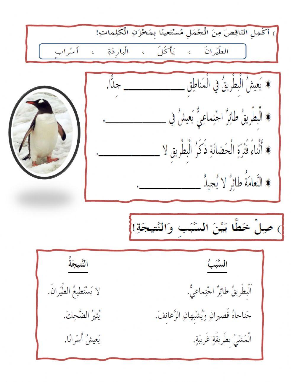 امتحان فهم مقرءة