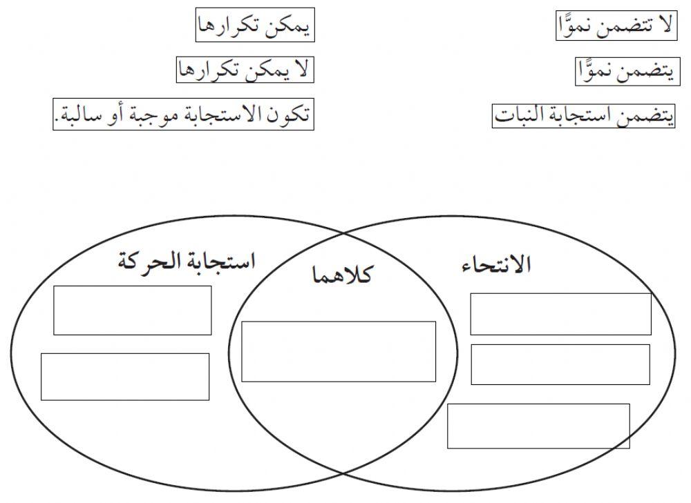 الانتحاء في النبات