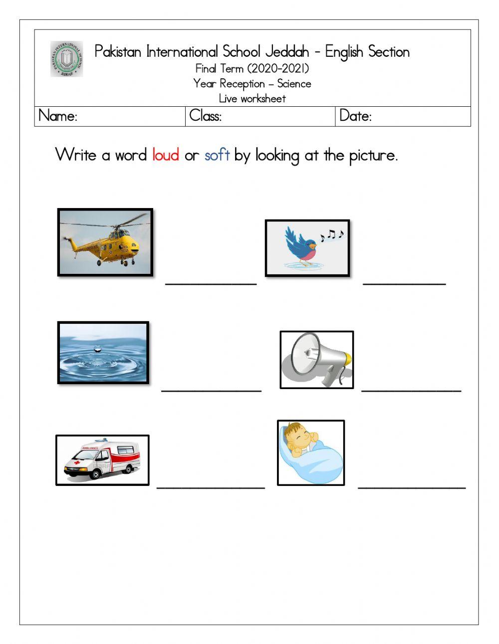 Sources of sound live worksheet