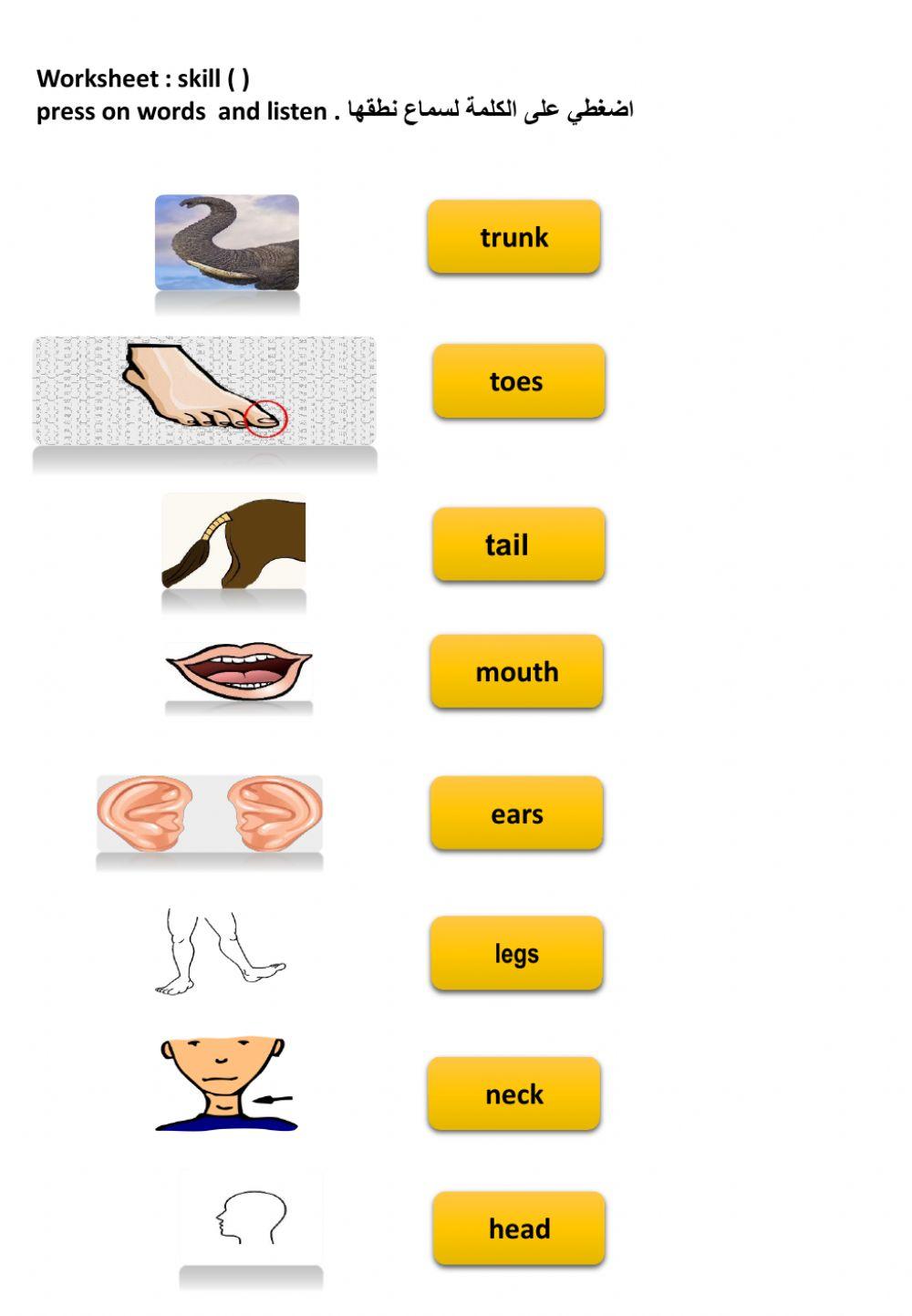 5th wild animals general worksheet