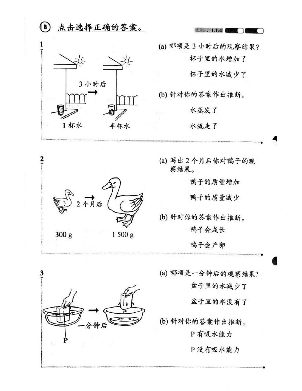 3年级科学 第一课（科学程序技能）