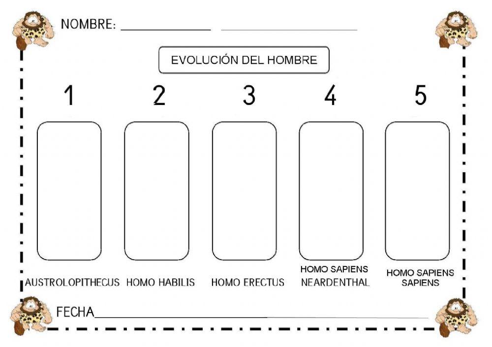 Evolucion humana