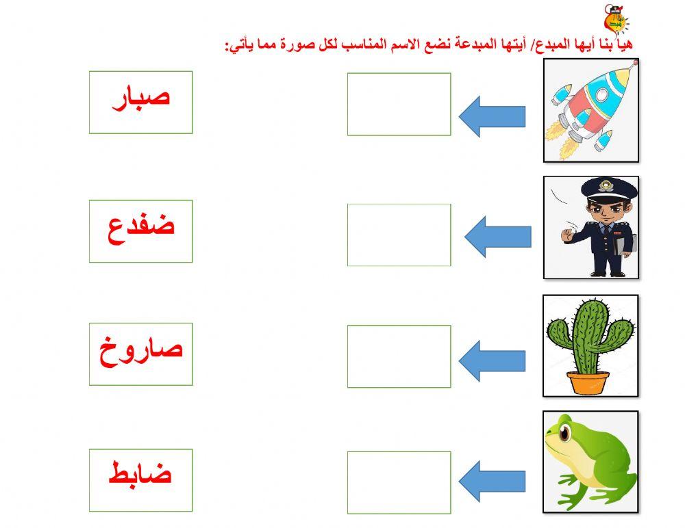 أوراق متنوعة ص - ض