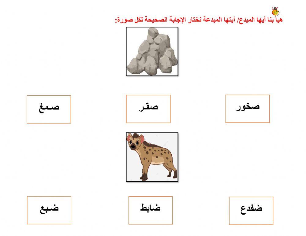 أوراق متنوعة ص - ض