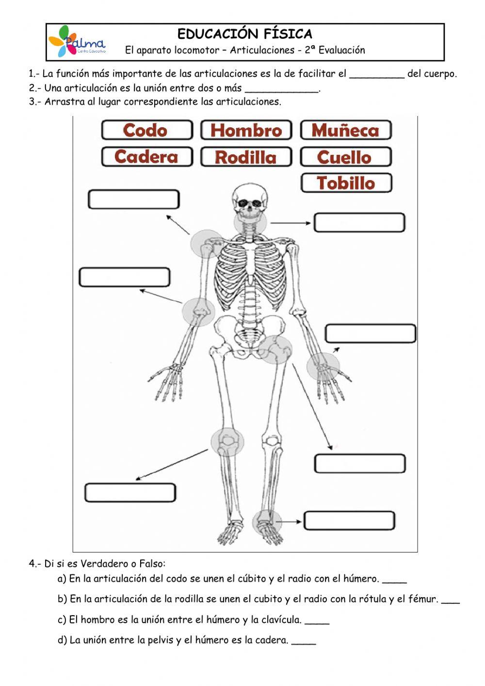 Control Articulaciones 5PRI
