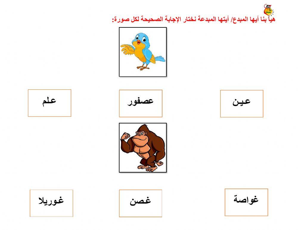 أوراق متنوعة ع - غ