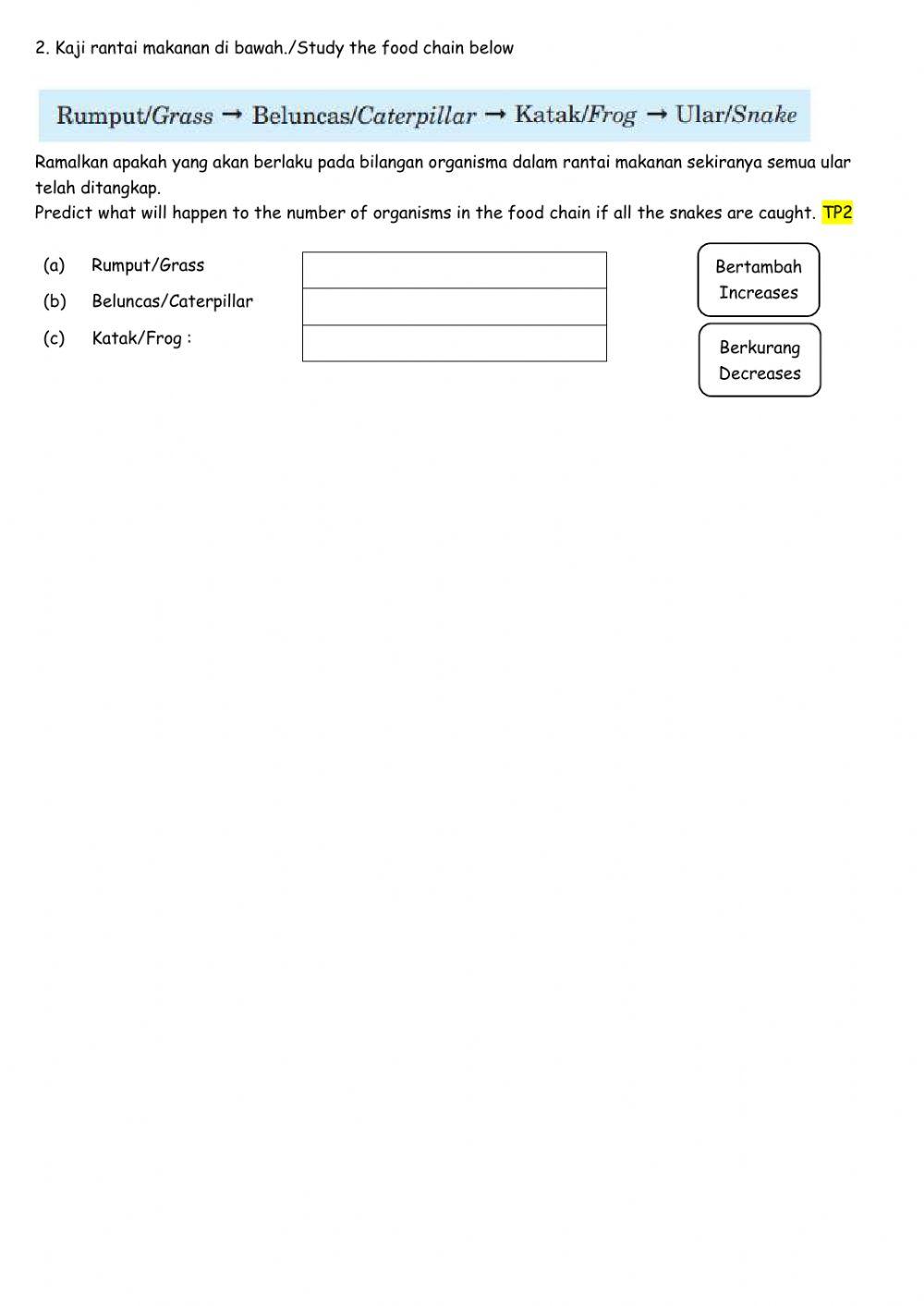 Bab 2 rantai dan siratan makanan versi english