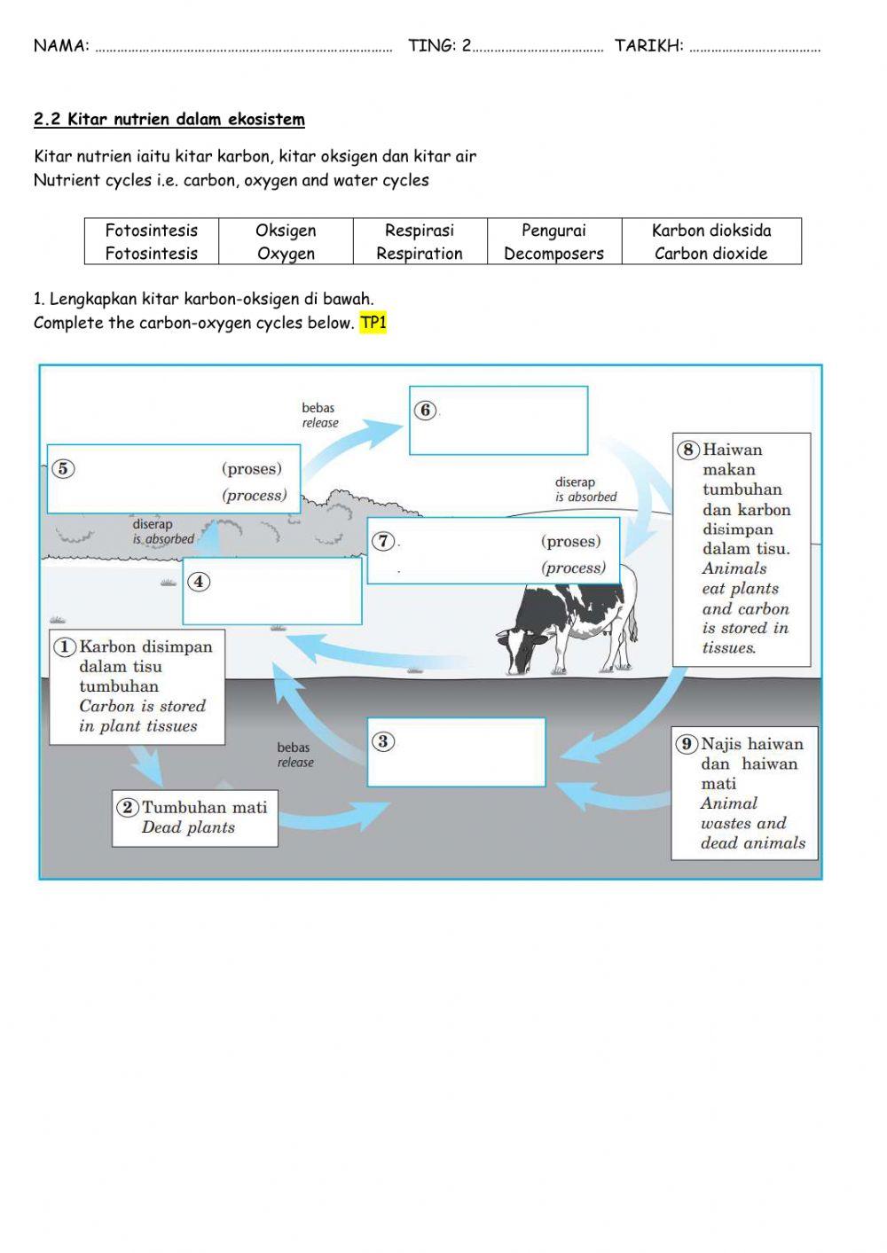 Bab 2 kitar nutrien versi english