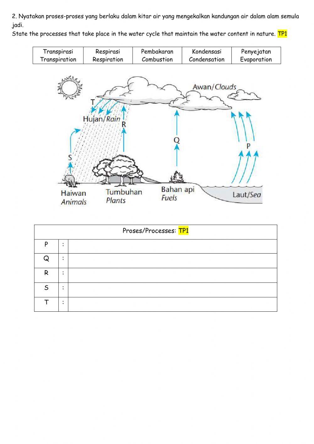 Bab 2 kitar nutrien versi english