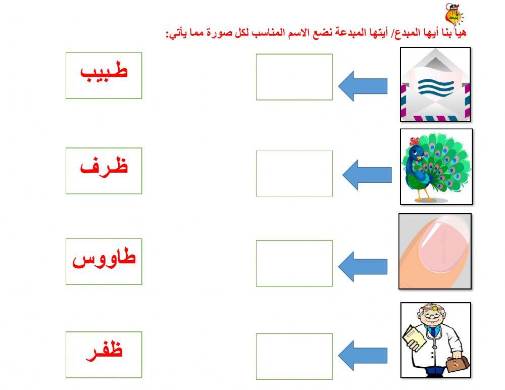 أوراق متنوعة ط - ظ