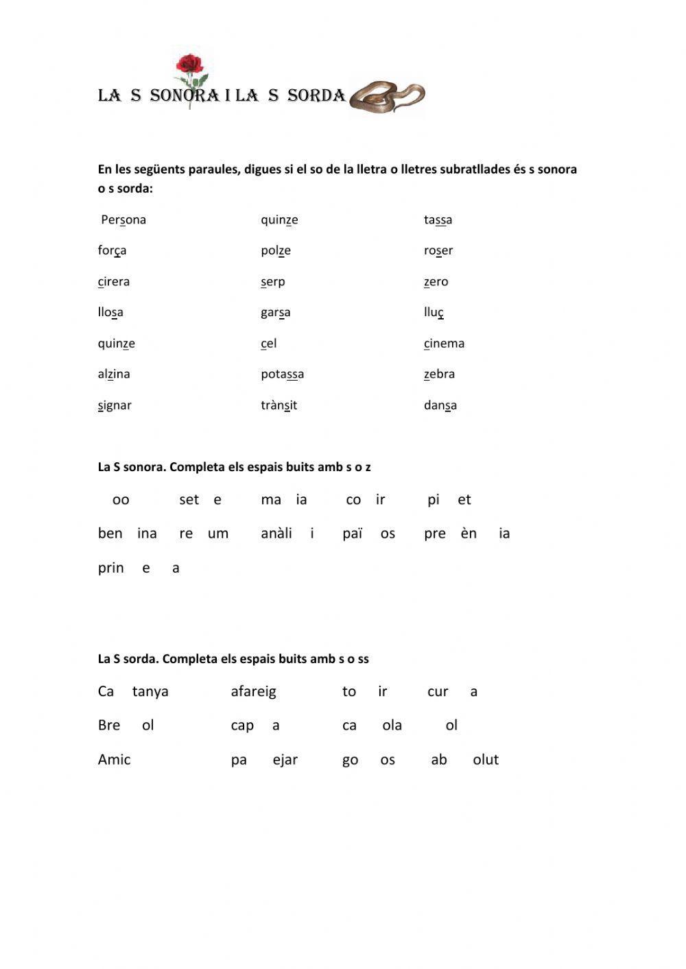 La S sonora i la S sorda