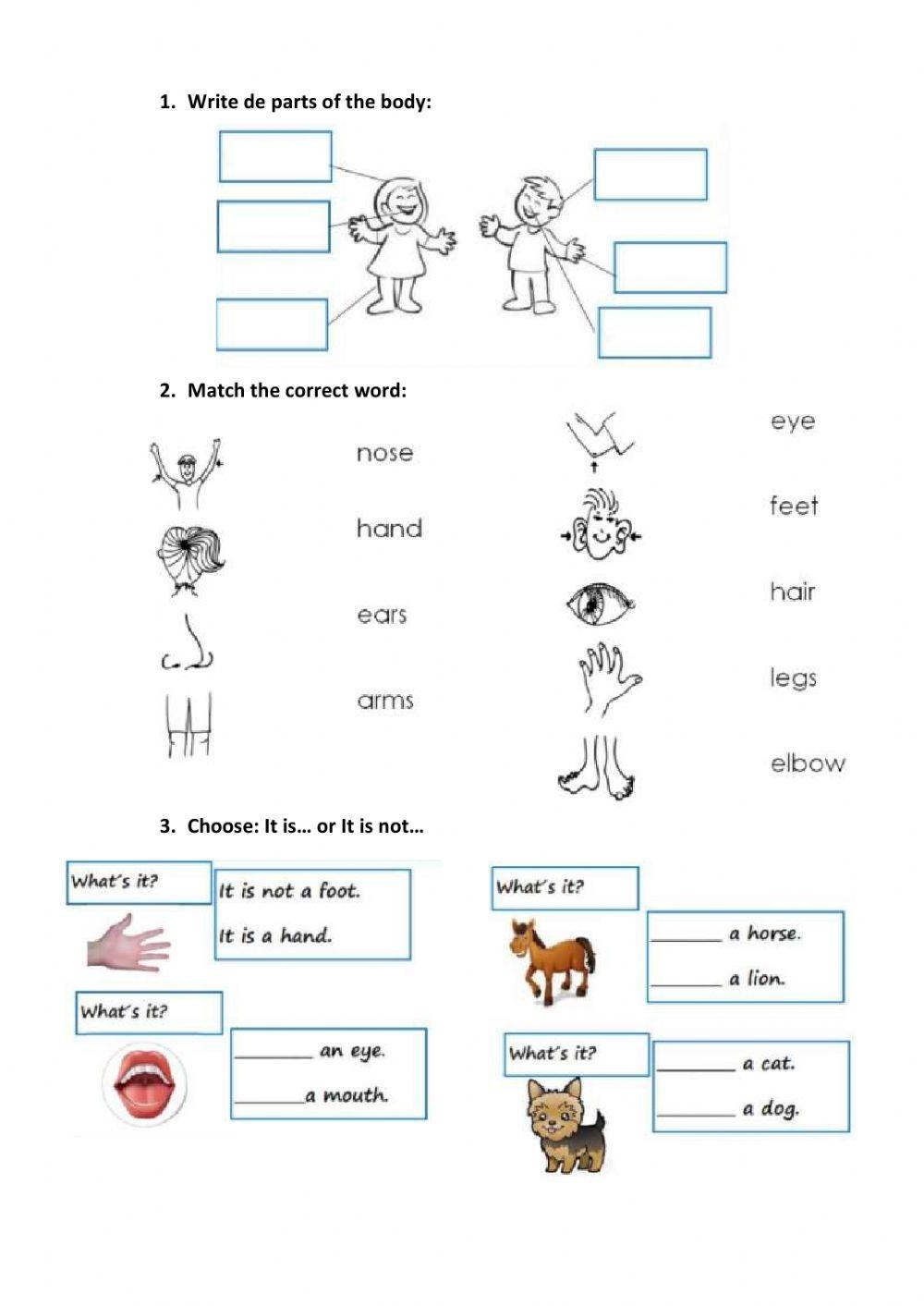 Ficha de inglés parts of the body