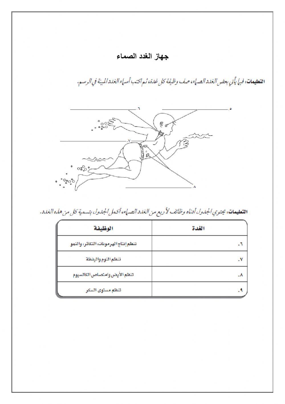 الغدد الصماء أ