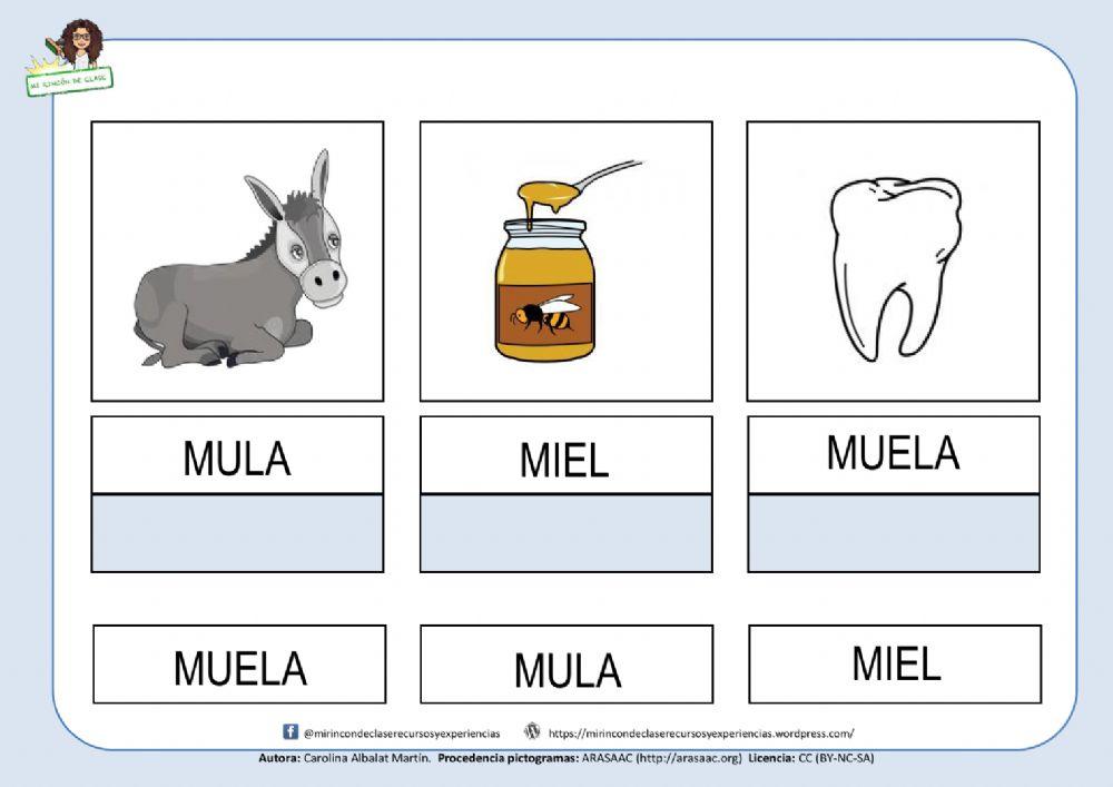 Mula, miel, muela