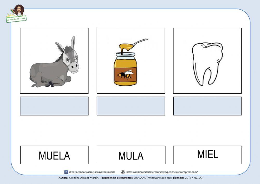 Mula, miel, muela