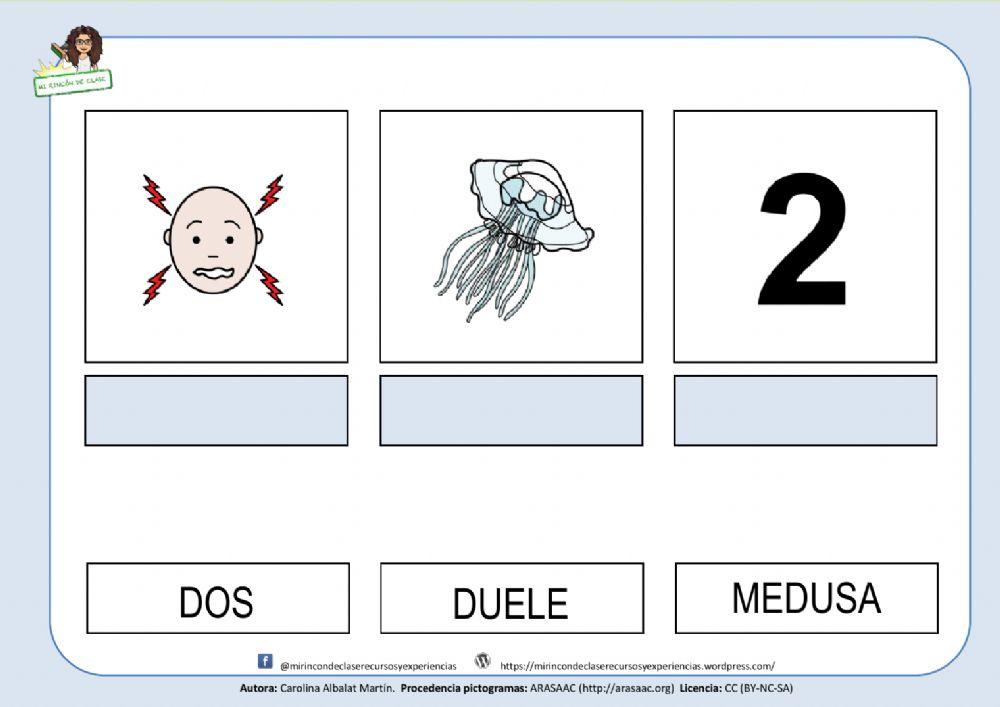 Duele, dos, medusa