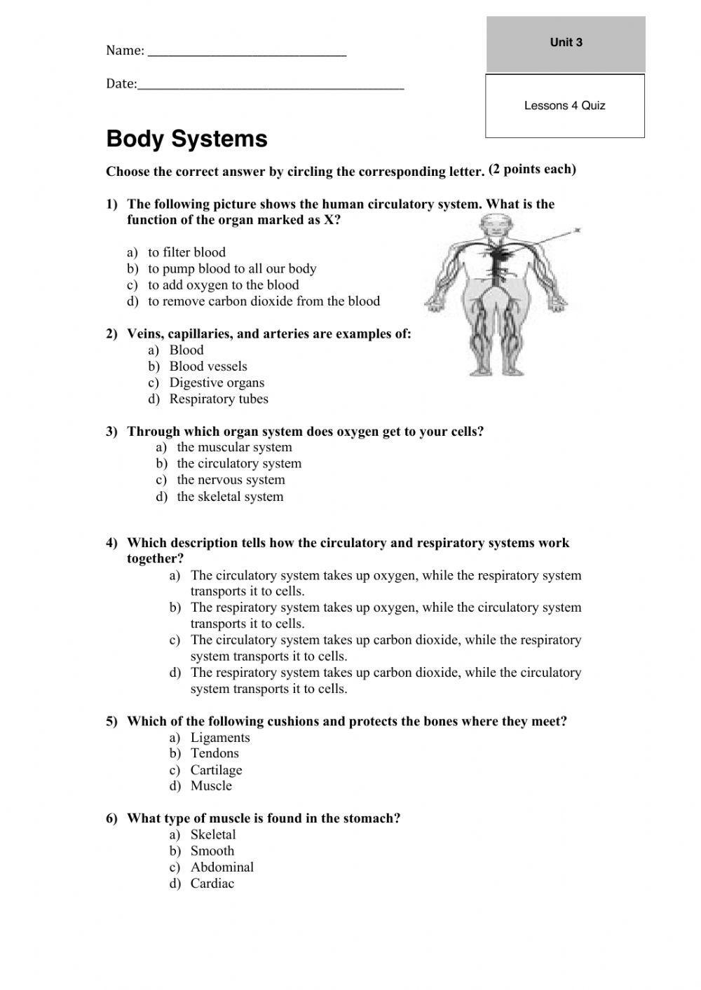 Quiz body systems