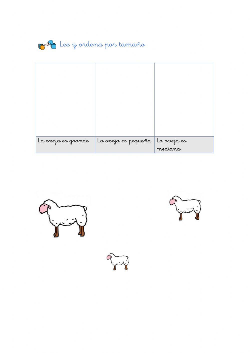 Tamaños Tamaños
