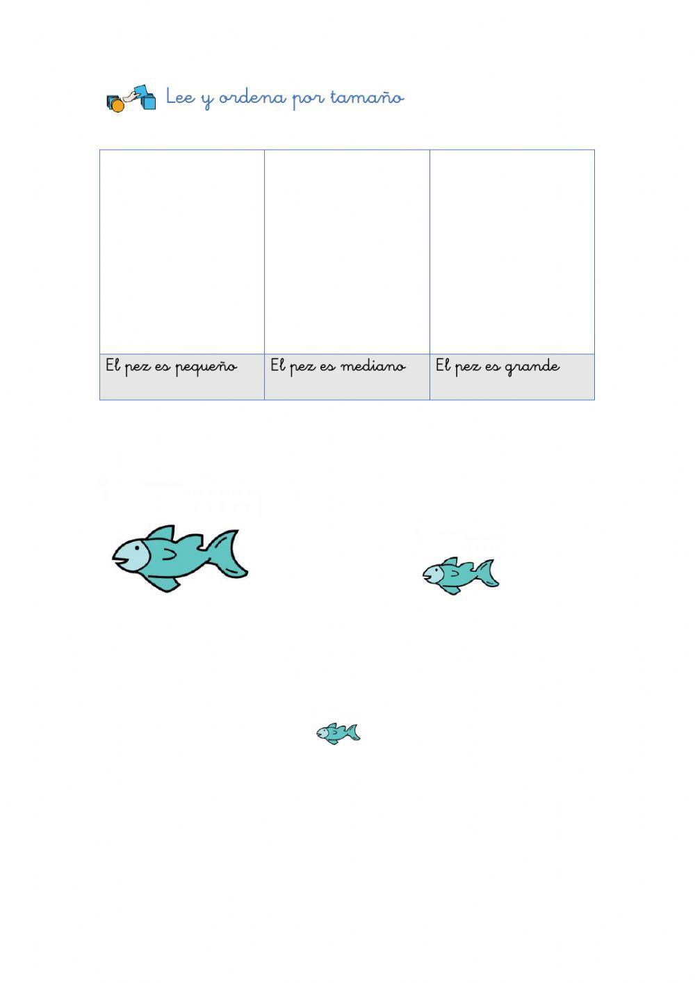 Tamaños Tamaños