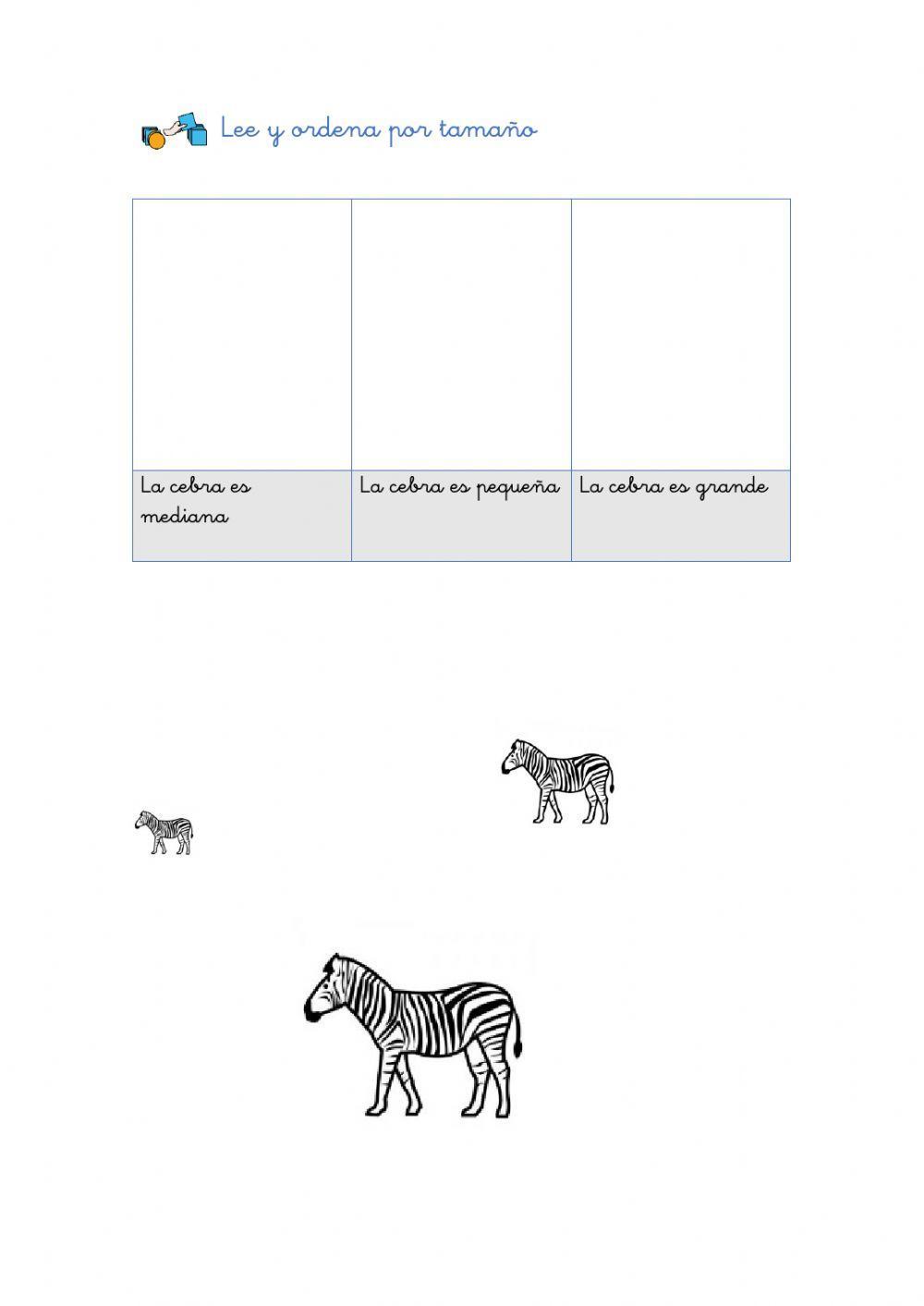 Tamaños Tamaños