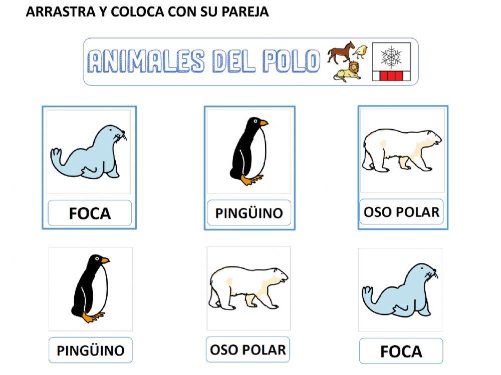 ANIMALES DEL POLO