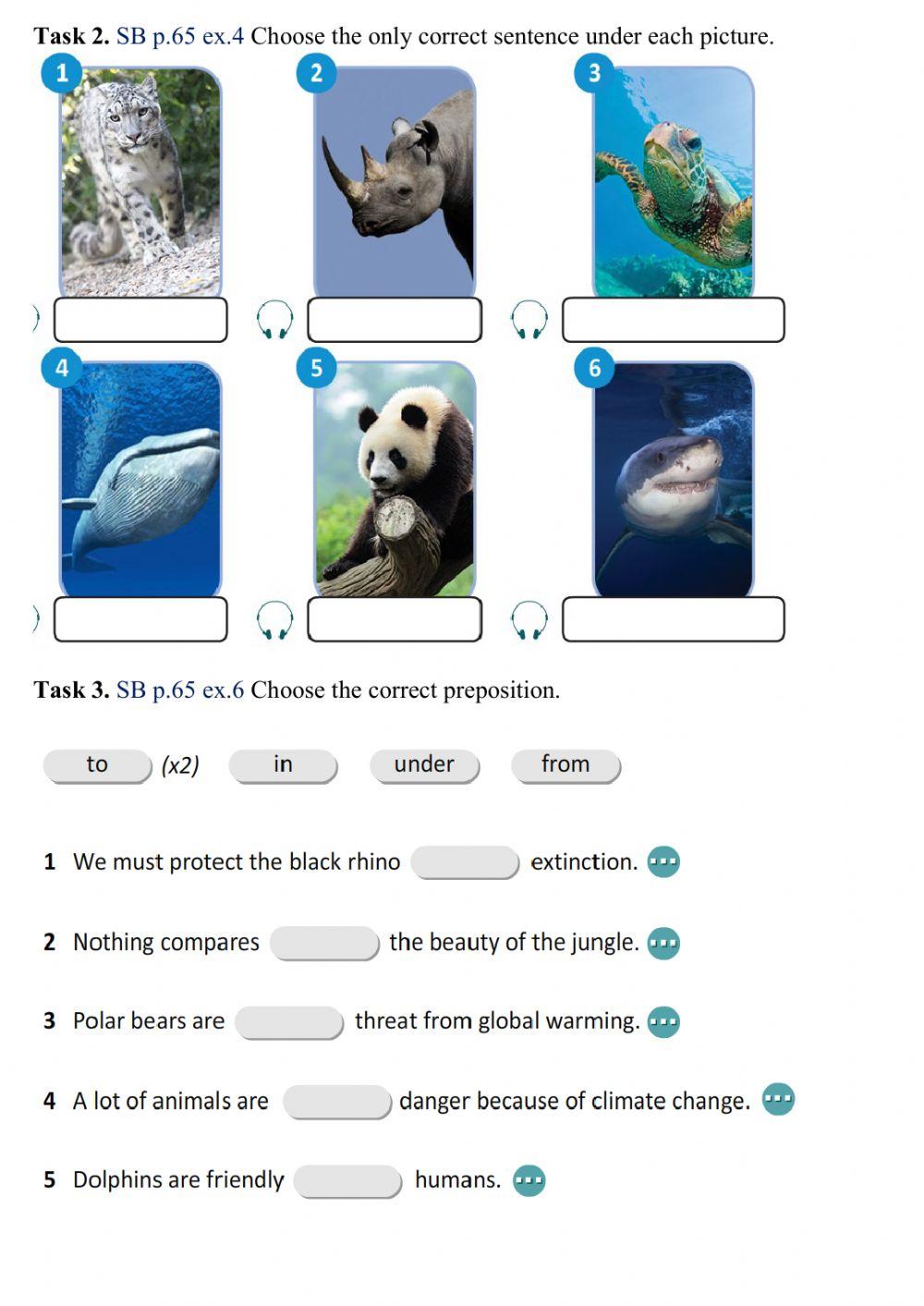 Grade 8. Excel.Endangered animals.