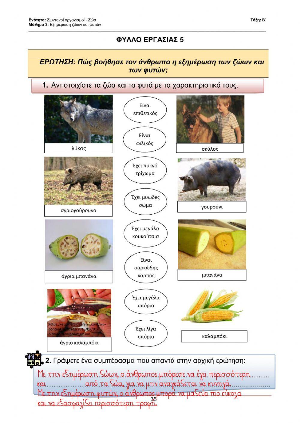 Β' Φ.Επ. - Εξημέρωση ζώων και φυτών