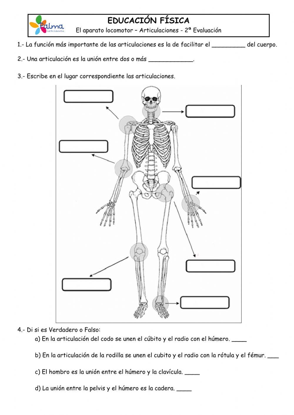 Control Articulaciones 6PRI