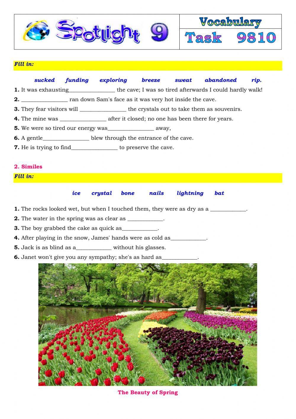 Spotlight 9 Task 9810