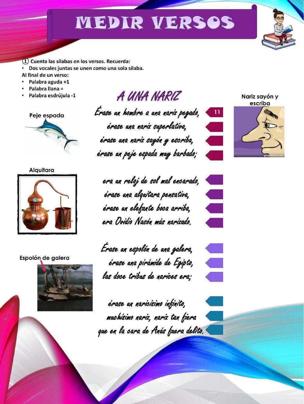 Medida de versos Medida de versos