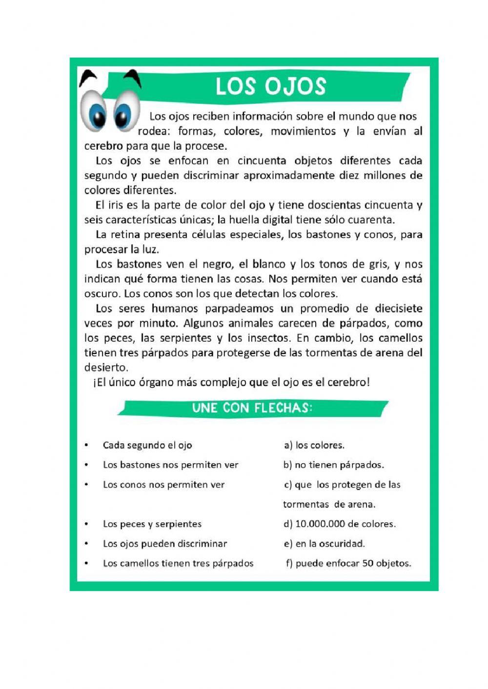Comprensión lectora sobre los ojos
