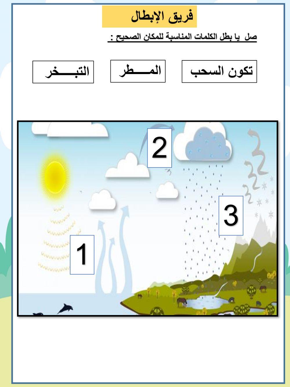 دورة الماء الأبطال
