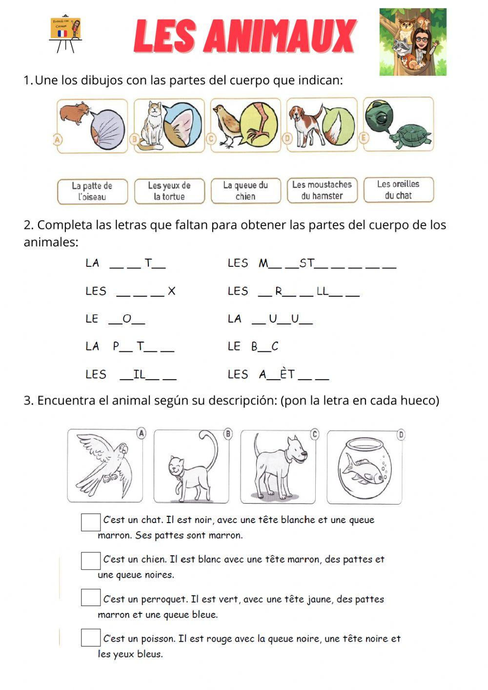 Les parties du corps des animaux