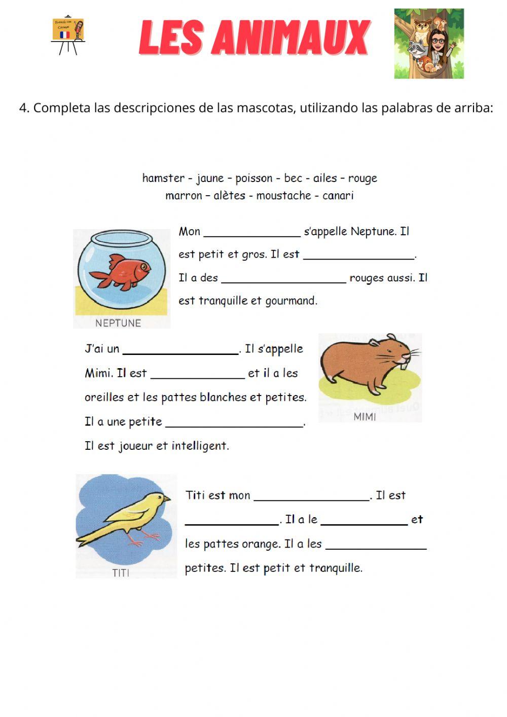 Les parties du corps des animaux