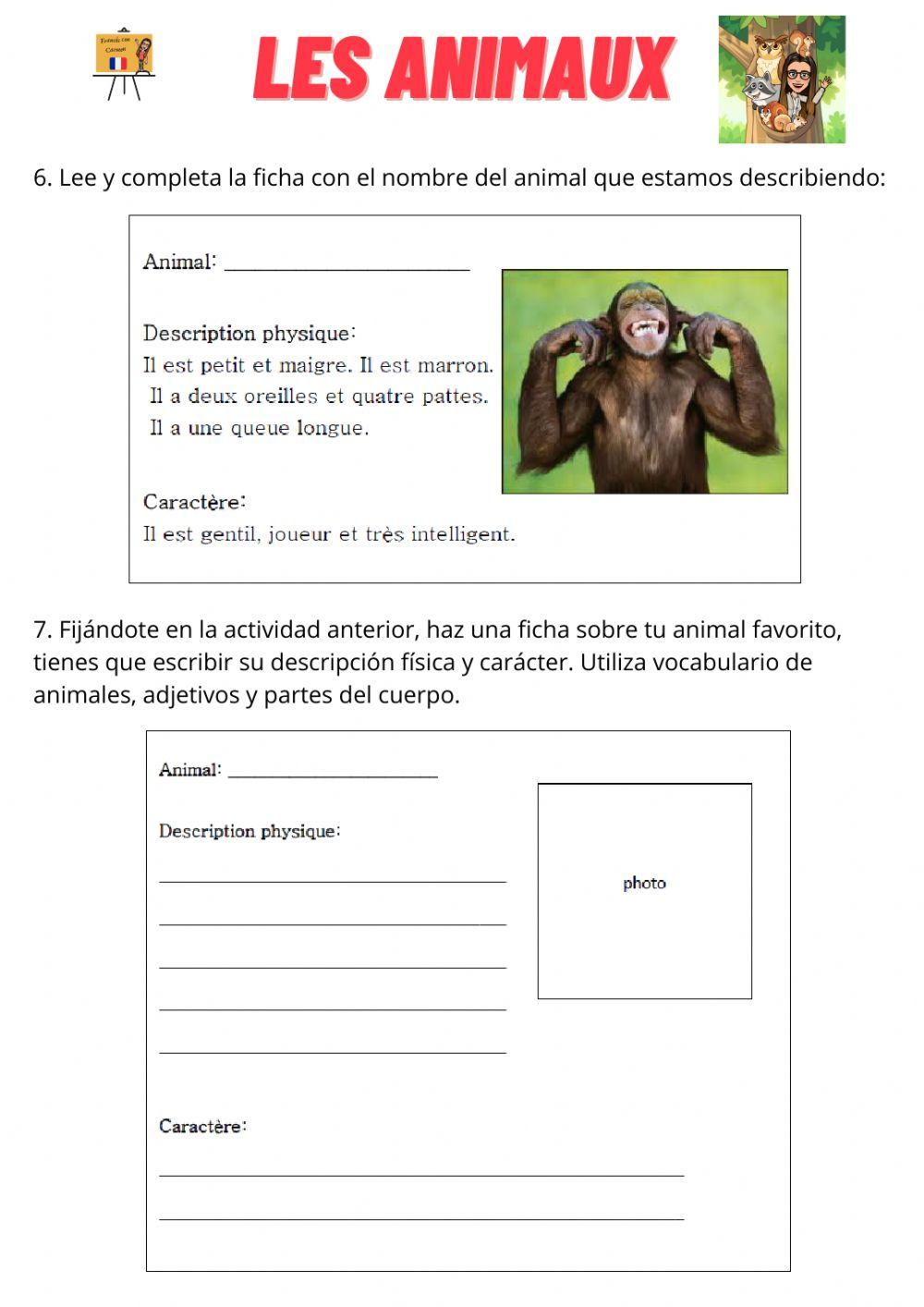 Les parties du corps des animaux