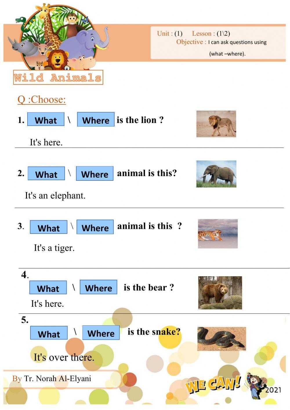 Wild animals Wild animals