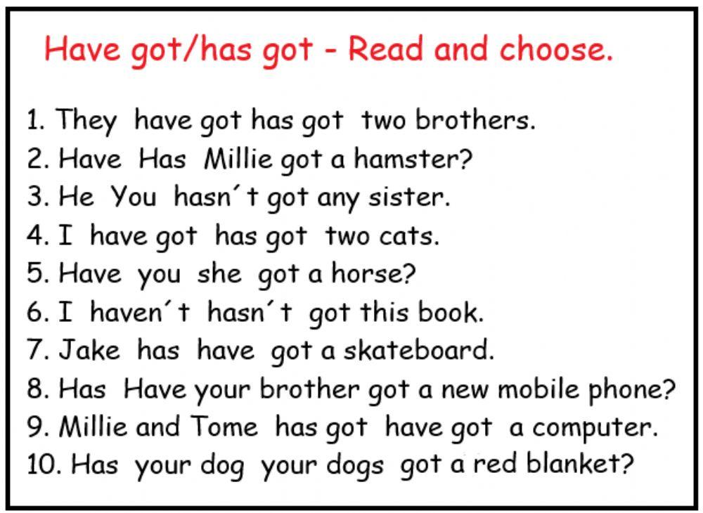 Have got-has got grammar