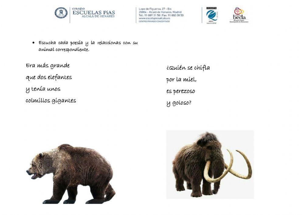 Animales prehistóricos 3 años