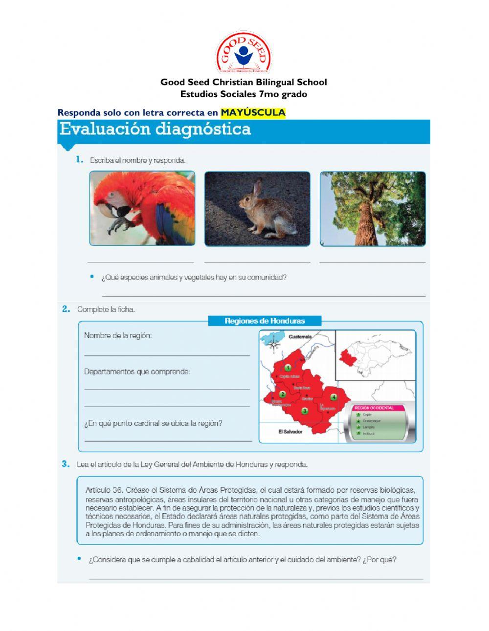 Evaluación diagnóstica U4