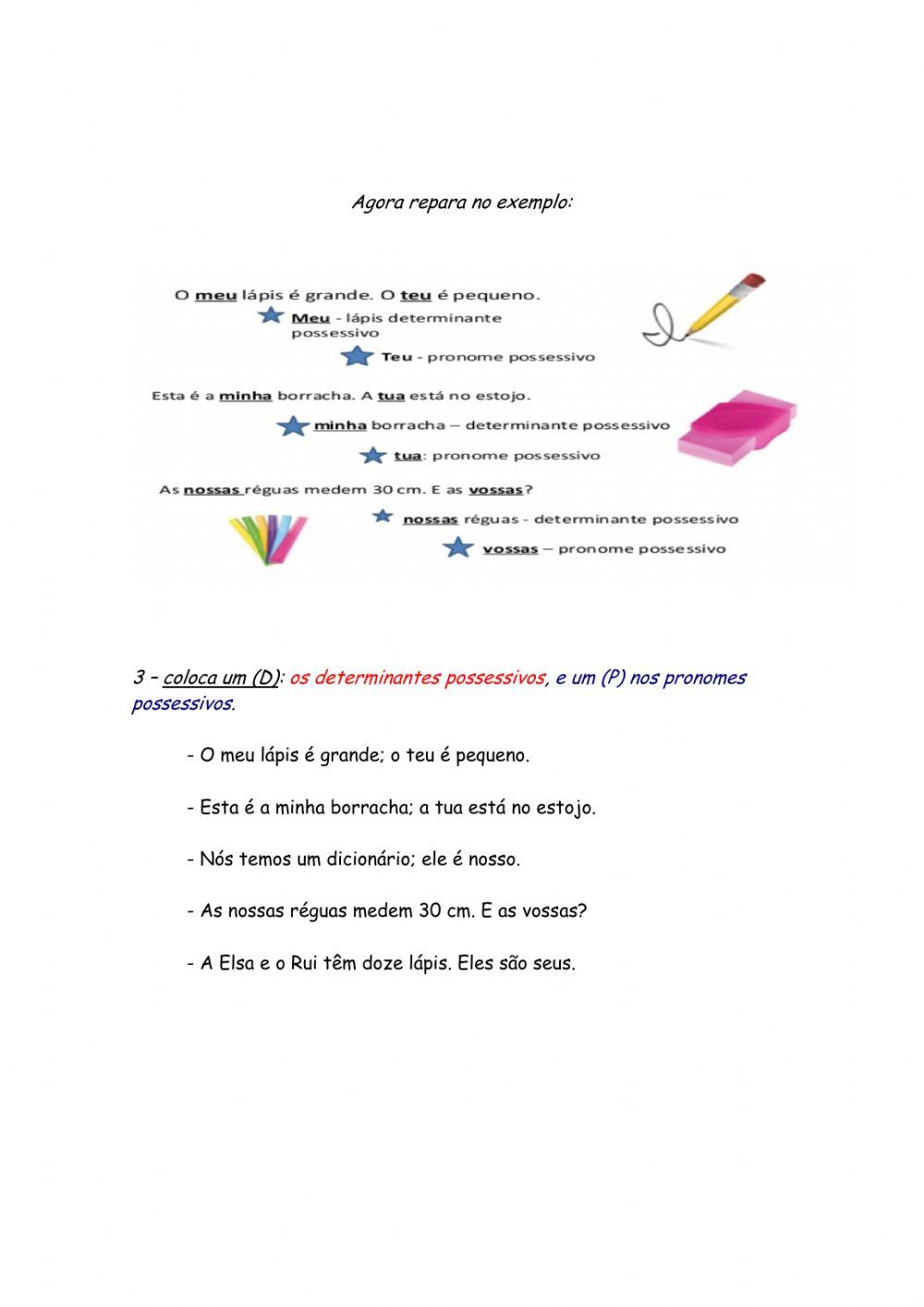 Determinante e pronomes possessivos