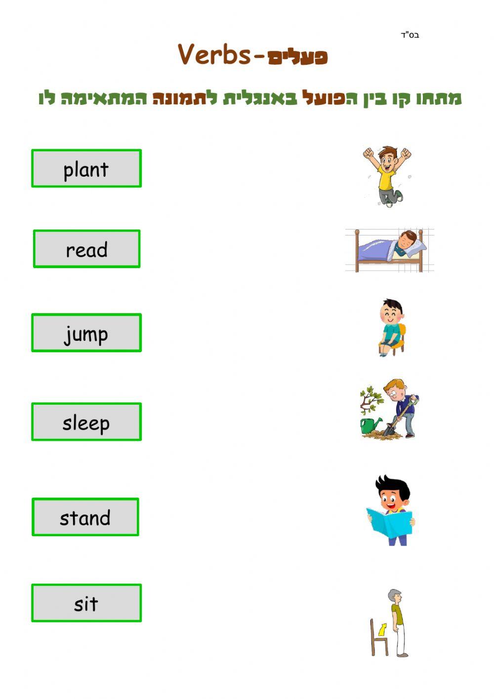 Basic level verbs